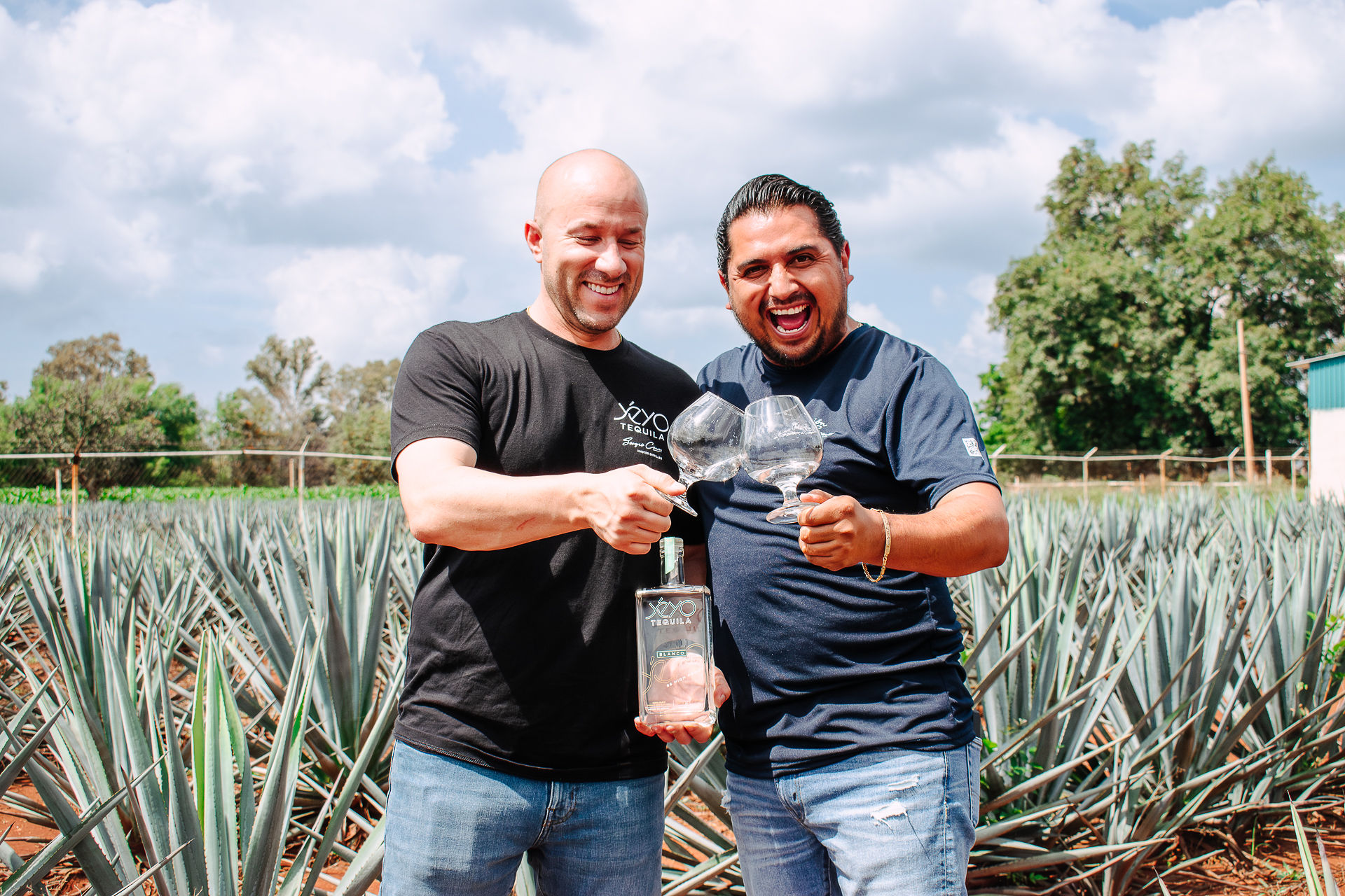 Two members of the Yéyo team toasting with glasses and a bottle of Yéyo Blanco in an agave field